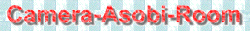 Camera-Asobi-Room$B$N%P%J!<(B