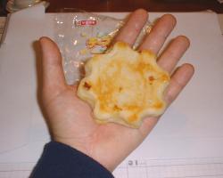 $B<j$N$R$i$K:\$;$F$_$?(B