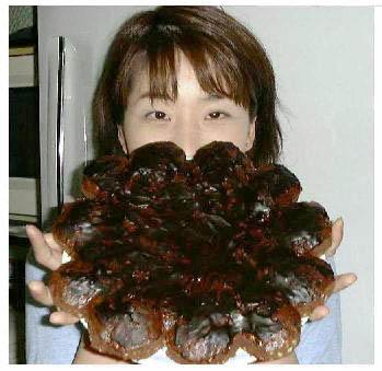 $B$f$-$H$A$g!A%G%+%b%C%A(B