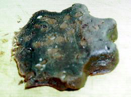 チョコモッチ断面図_260x194