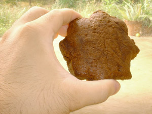 $B%W%m%H%?%$%W(B'ckmp0001'$B$NBg$-$5(B