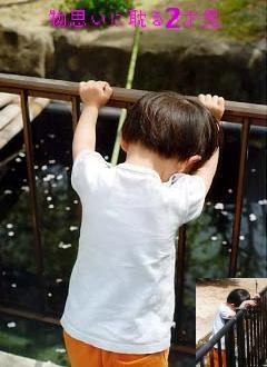 $BJ*;W$$$KC?$k(B2$B:M;y(B