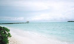 $B%(%s%V%I%%%U%#%N%k$NIMJU(B