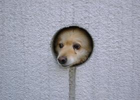 $BJI7j$+$i$N$>$-8+(B