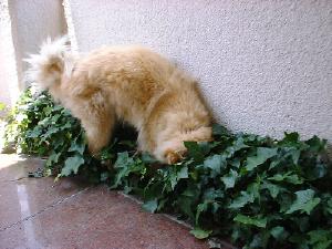 $BF,1#$7$F?,1#$5$:(B