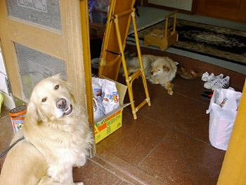 $B7y$,$k%Z%m$H$45!7y%^%C%/%9(B