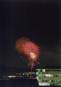 $B@P@n$N2V2PBg2q(B