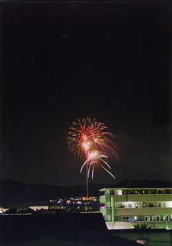 $B@P@n$N2V2PBg2q(B