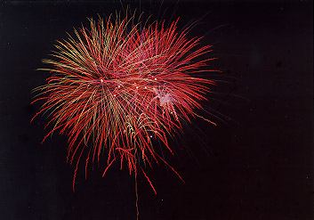 $B@P@n$N2V2PBg2q(B