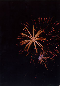 $B@P@n$N2V2PBg2q(B