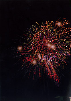 $B@P@n$N2V2PBg2q(B