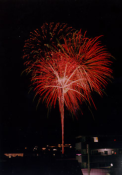 $B@P@n$N2V2PBg2q(B