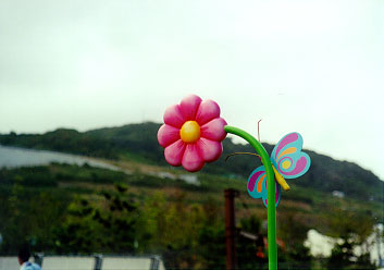 $BC8O)2VGn$N%3!<%R!<%+%C%W$N:t$N(B