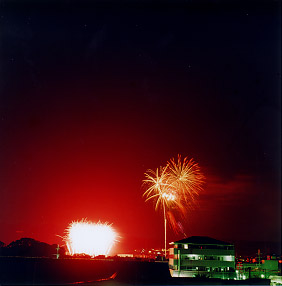 $B@P@n$N2V2PBg2q(B