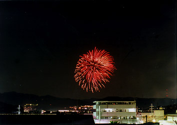 $B@P@n$N2V2PBg2q(B