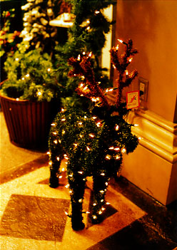 $BFx$d$+$J%H%J%+%$(B