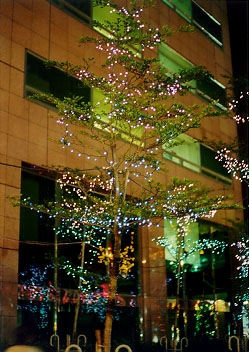 $BBfKL$NLk$O6e;~(B