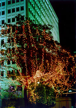 $BBfKL$NLk$O6e;~(B