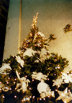 $BBfKL$NLk$O6e;~(B