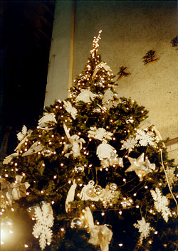 $BBfKL$NLk$O6e;~(B