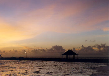 $B%m%R%U%7$NM<Jk$l(B