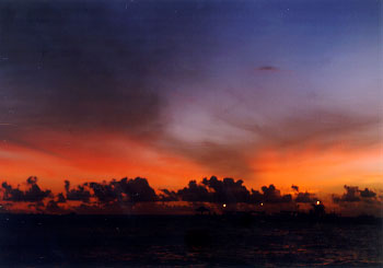 $B%m%R%U%7$NM<Jk$l(B