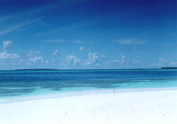 $B%/%@!&%P%s%I%9$K$F(B