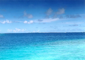 $B%/%@!&%P%s%I%9$K$F(B($B<sET%^!<%l$rK>$`(B)