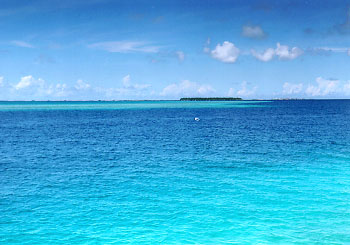 $B%/%@!&%P%s%I%9$K$F(B