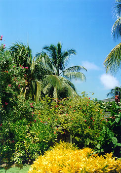 $B>o2F$C$F46$8$d$M(B