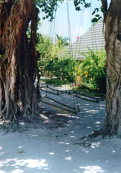 $B%O%s%b%C%/$K;w$FHs$J$k$b$N(B