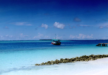 $B%/%@!&%P%s%I%9$K$F(B