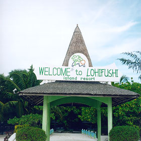 $B%m%R%U%7$K$h$&$3$=(B