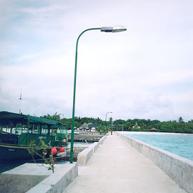 $B%m%R%U%7$N;766(B