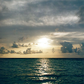 $B%m%R%U%7$NM<Jk$l(B