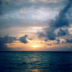 $B%m%R%U%7$NM<Jk$l(B