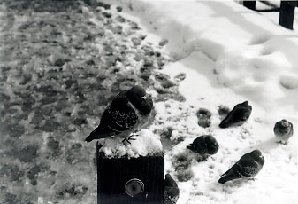 $B$_$s$J$rBeI=$7$F!