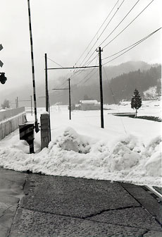 $BKd$b$l$?5~J!EEE4$NF'@Z(B