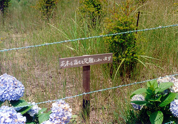 $B$=$i$($i$$$3$C$A$c(B