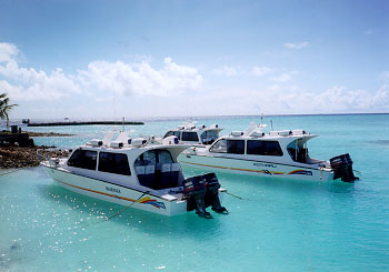 $B%m%R%U%7$K$F(B($B$9$C$+$j6aBe2=(B)