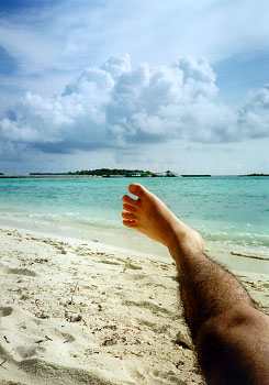 $B%m%R%U%7$N!&!&!&$($C(B?