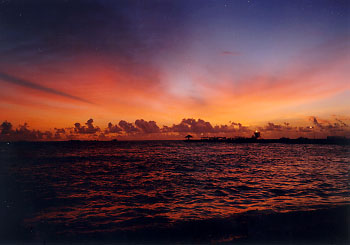 $B%m%R%U%7$NM<Jk$l(B