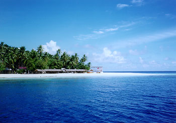 $B%/%@!&%P%s%I%9(B