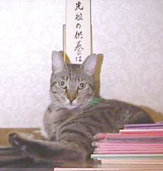 $B@hAD$N6!M\$O%k!<(B