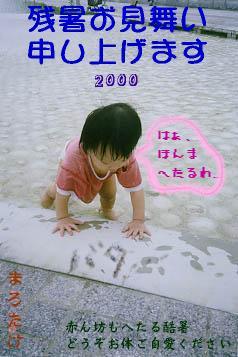 $B;D=k$*8+Iq$$%P%?(B