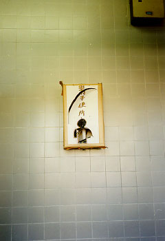 �N�����蔲���Ă��(^^;