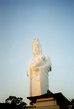 ��Ȗ�Ȝp�j�����Ƃ� ;-p