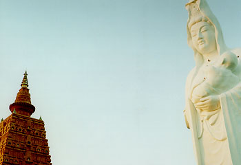 ���ɗ����ł��傤��?