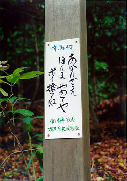 �|�C�̂Ă͂�����ł�