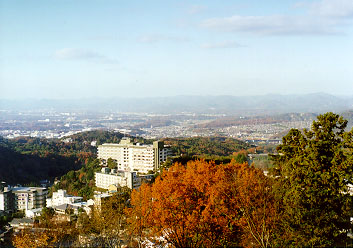 �L�n�̕��i